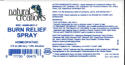 Burn Relief Spray.jpg image description - Burn Relief Spray